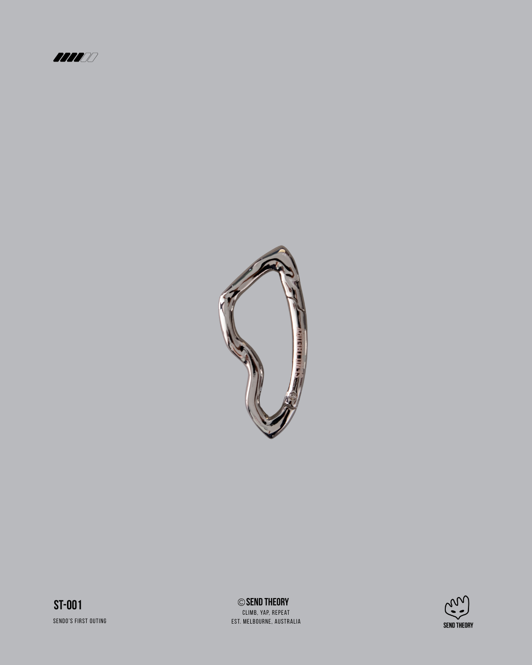 Carabiner - Silver